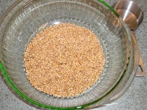 wheat grinder 007 (Medium)