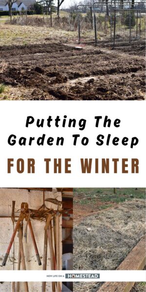 putting garden to sleep Pinterest