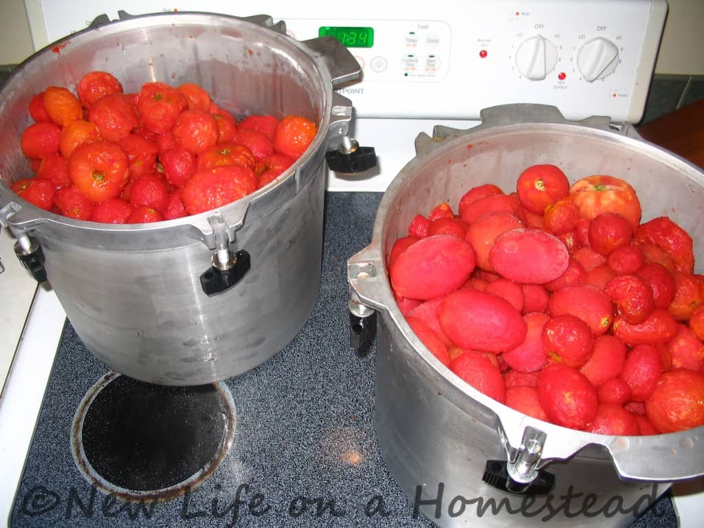 Tomato Sauce Canning Recipe