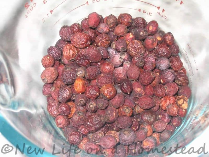dried hawthorn berries