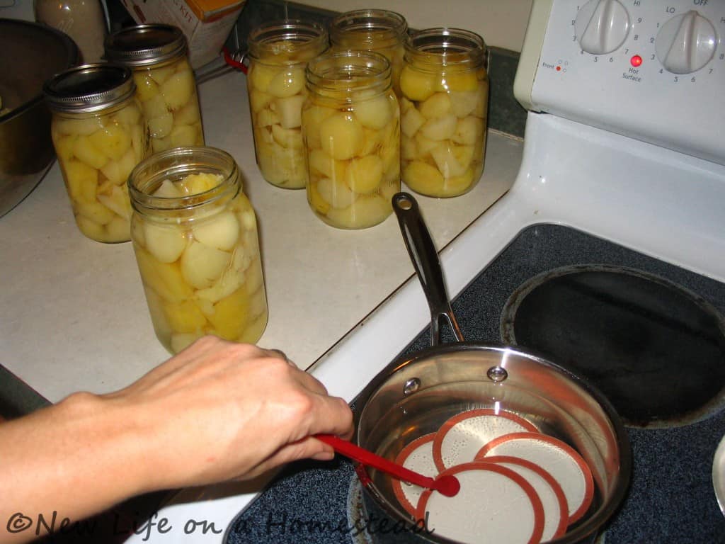 canning potatoes-7