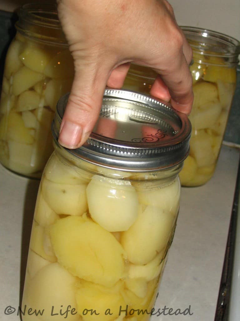 canning potatoes-8