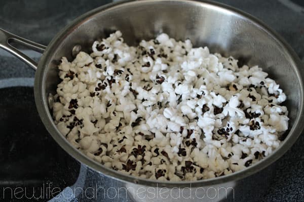 Homegrown Popcorn- tips and experiences! via http://newlifeonahomestead.com