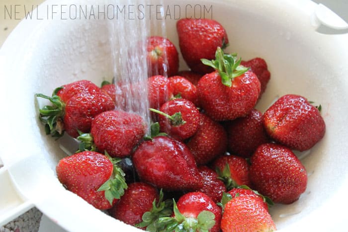how to freeze strawberries (3)
