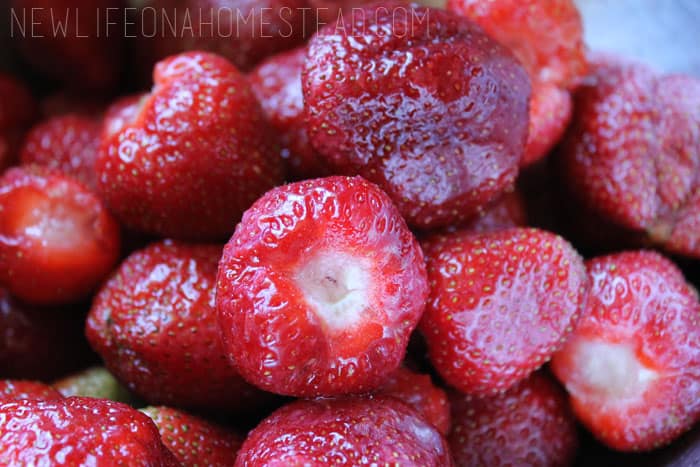 how to freeze strawberries (4)