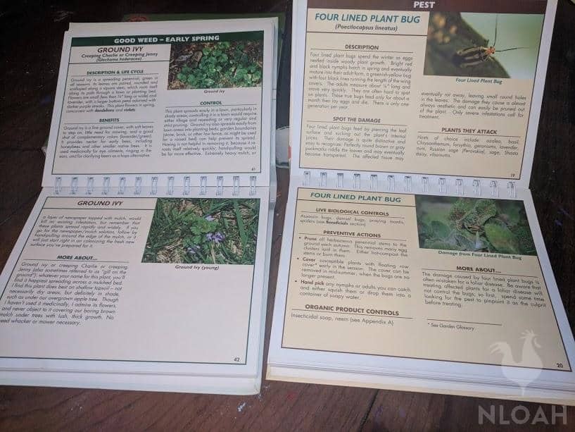 weeds and bugs identification flip books