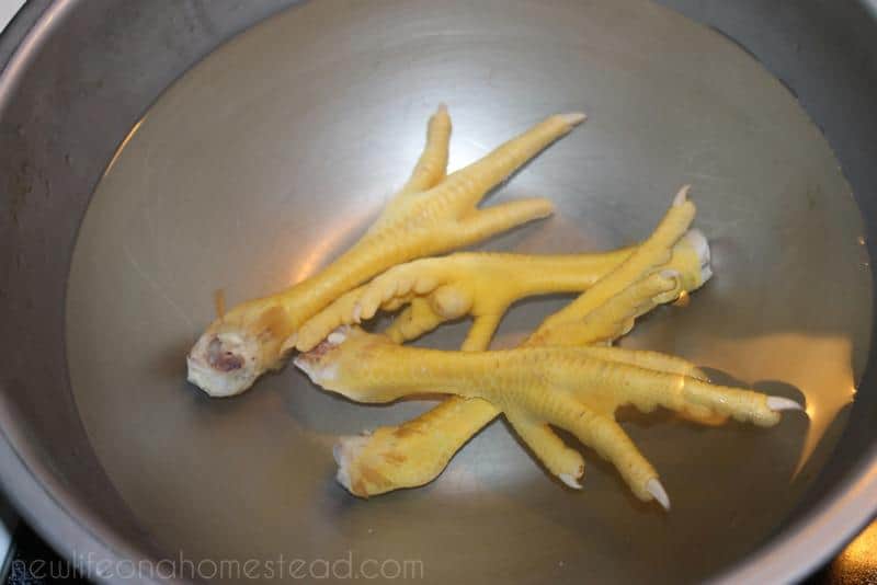 chicken feet in cold water