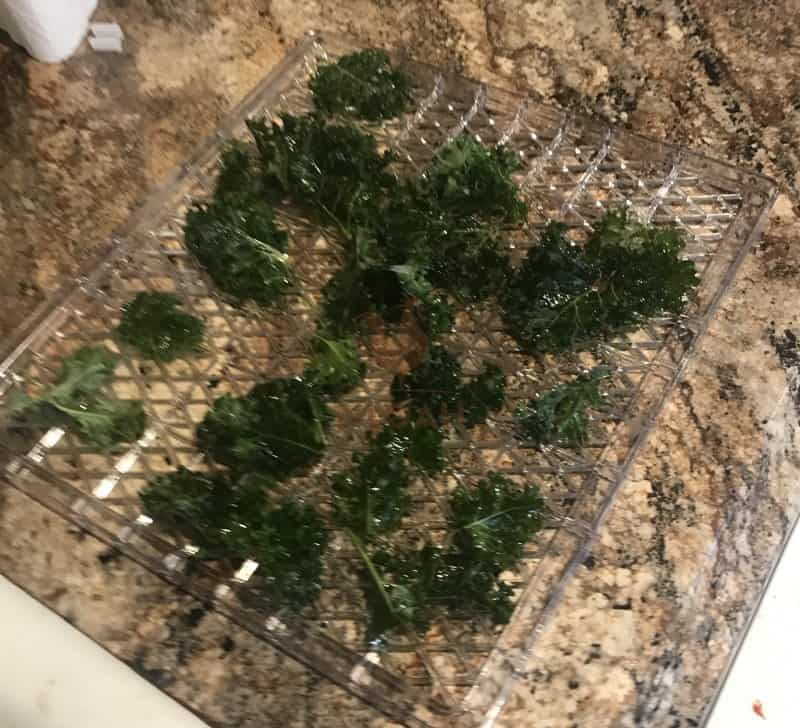 Ensure you leave space between your kale chips