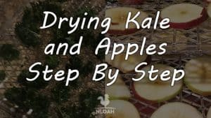 drying kale and apples featured