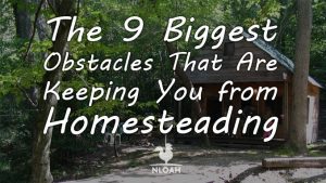 homesteading obstacles featured