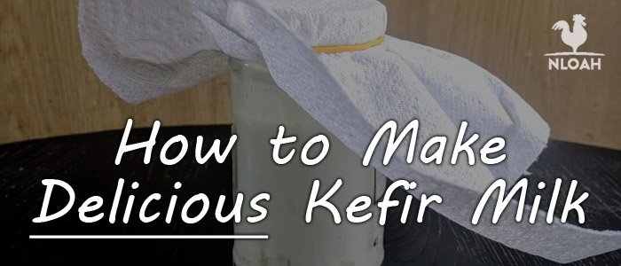 How to Make Kefir Milk featured