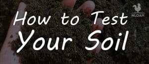 how to test soil featured