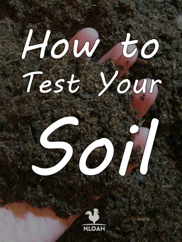 how to test soil pinterest