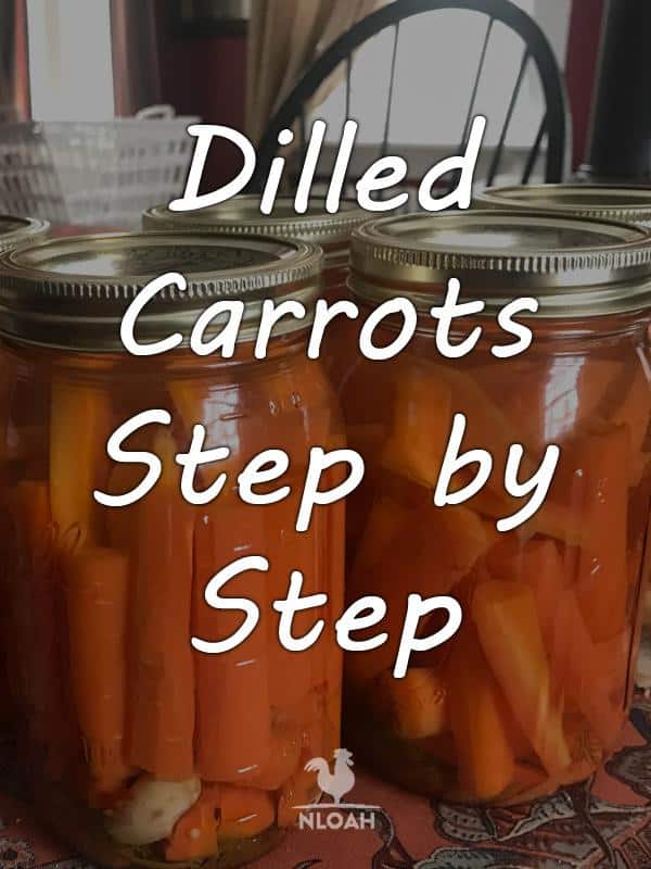 dilled carrots pinterest