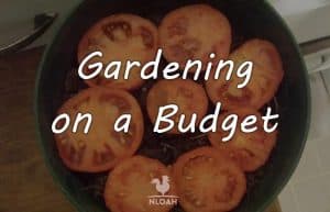 gardening budget featured