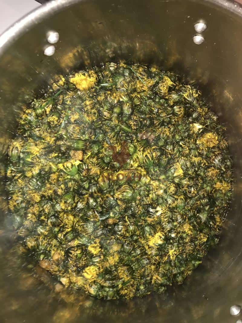 Boiled dandelion heads steeping in a stainless steel pot