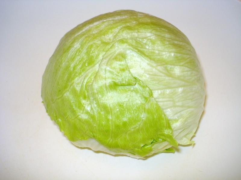 Crisphead Lettuce