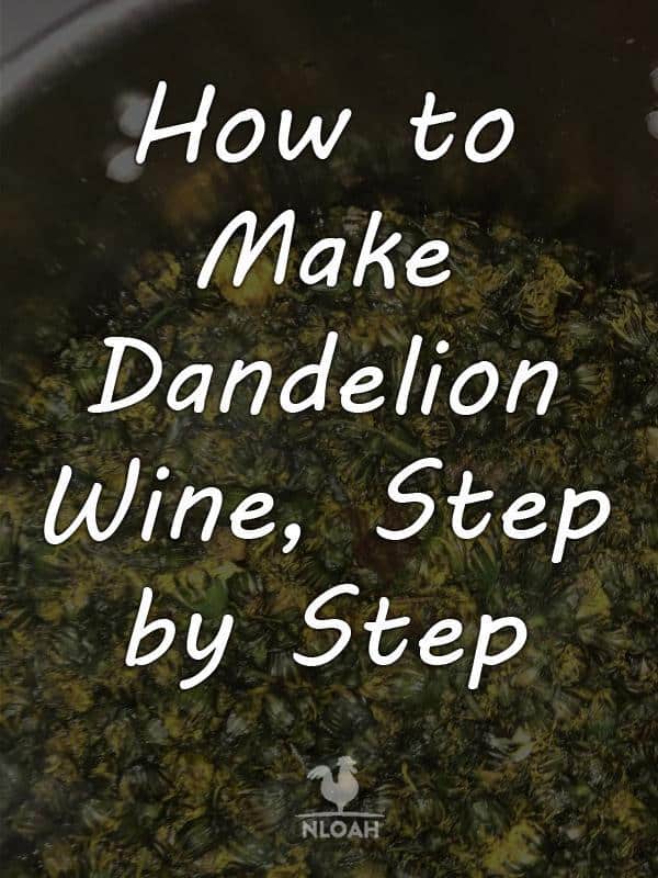 dandelion wine pinterest