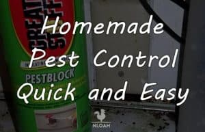 homemade pest control featured