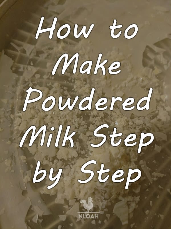 How to Make Powdered Milk Step by Step