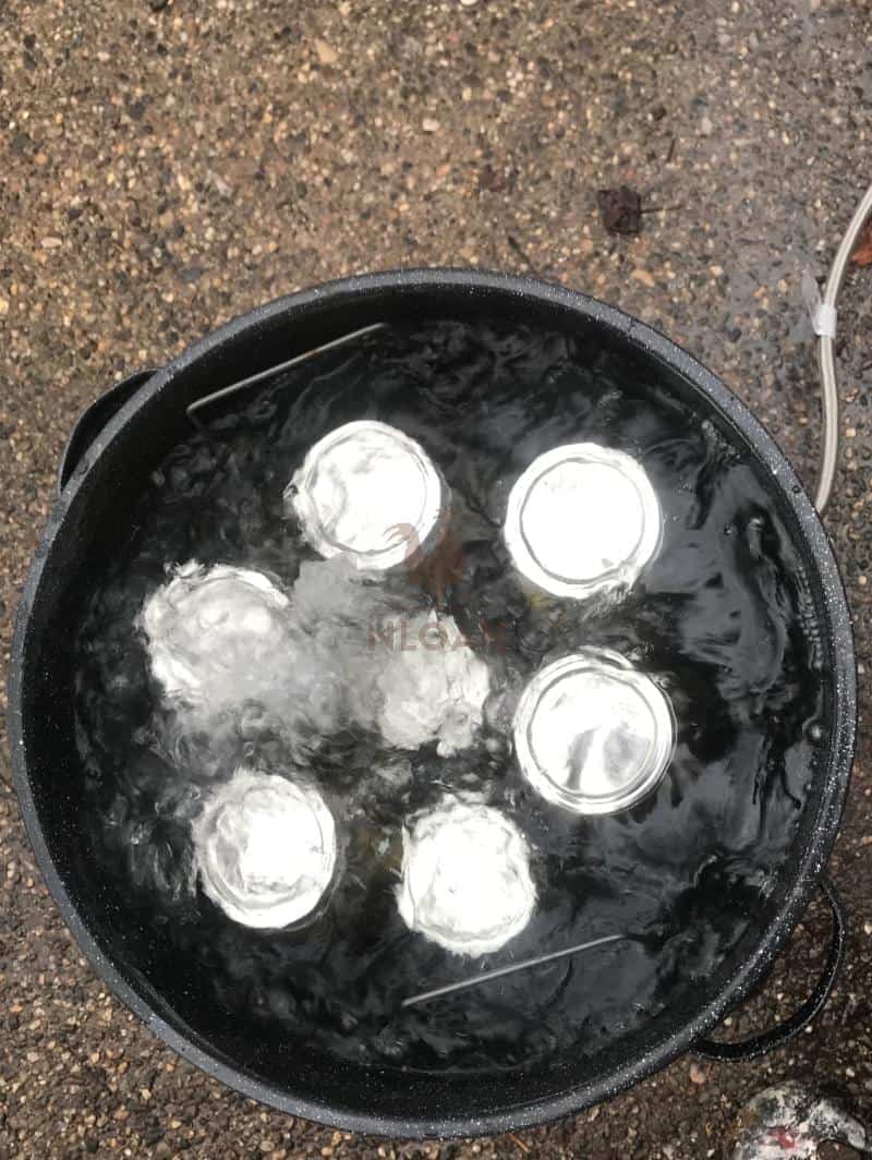 Water beginning to boil in canner