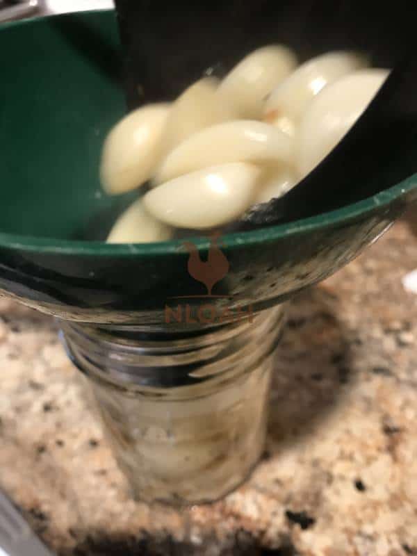 packing garlic in jar