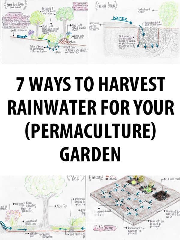rainwater harvesting pinterest