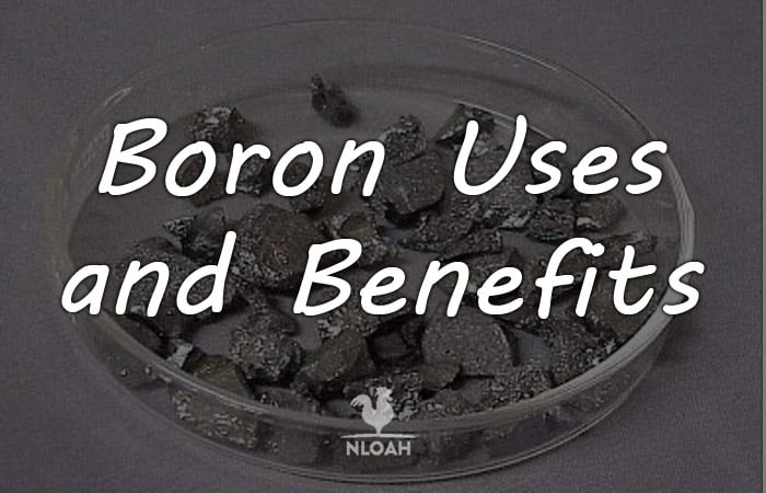 born uses benefits logo