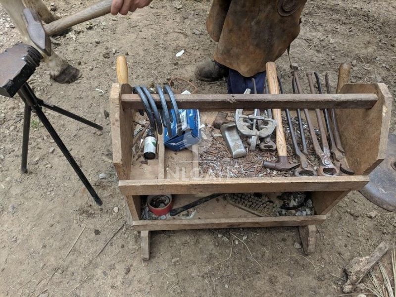 horse shoeing tools