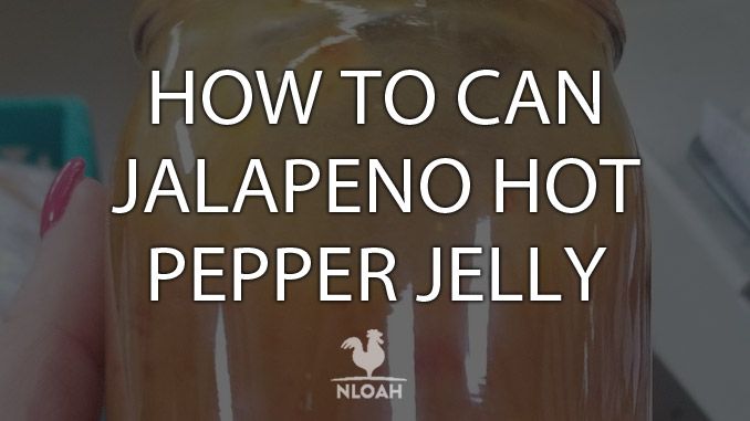 jalapeno jelly cover