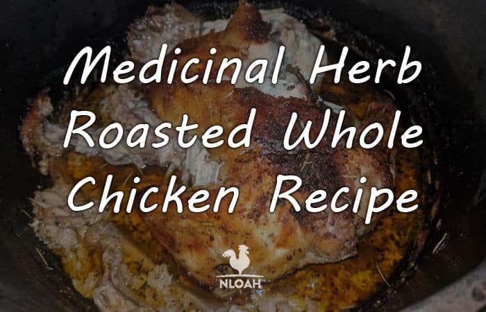 medicinal herb roasted chicken logo