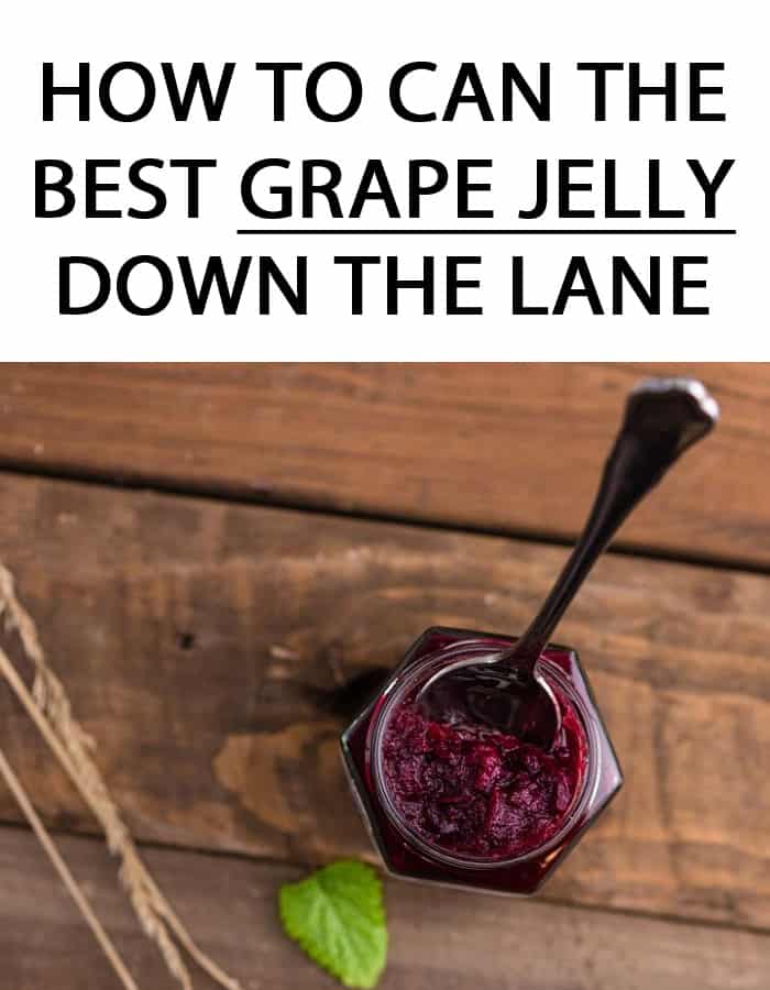 canning grape jelly pinterest