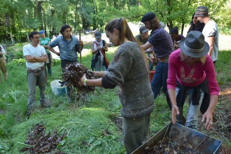 breaking down leaves together for a permaculture garden