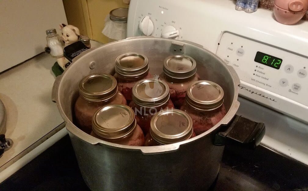 pressure canner filled with deer roast jars