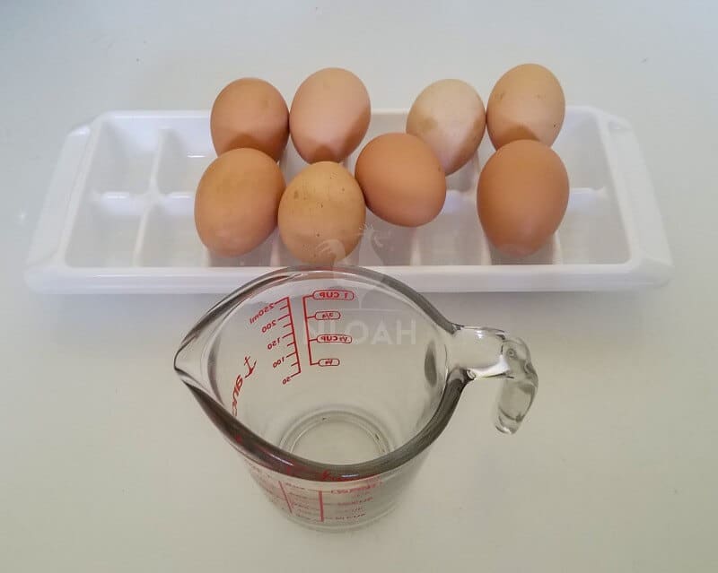 Freezing Eggs Materials Needed