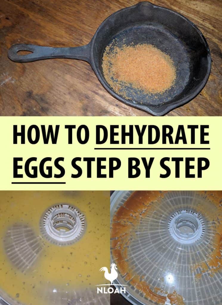 dehydrating eggs pinterest