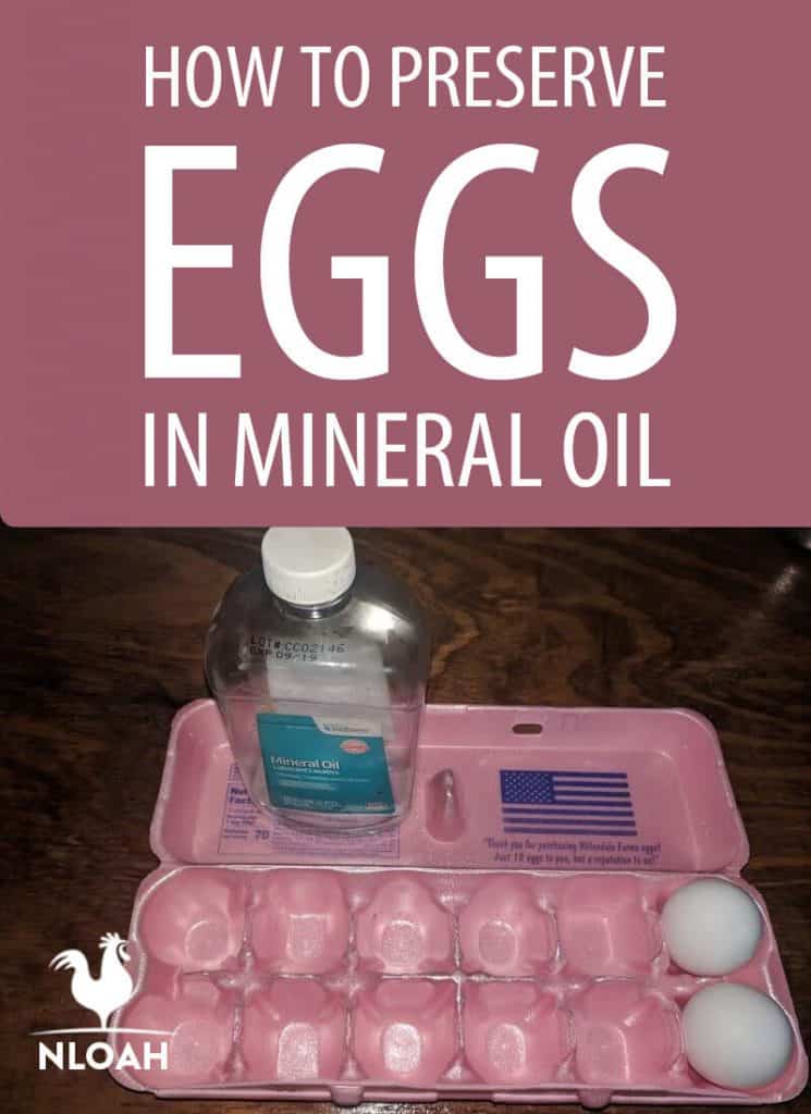 preserving eggs in mineral oil pinterest