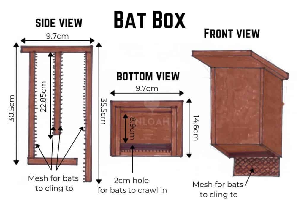 BAT BOX
