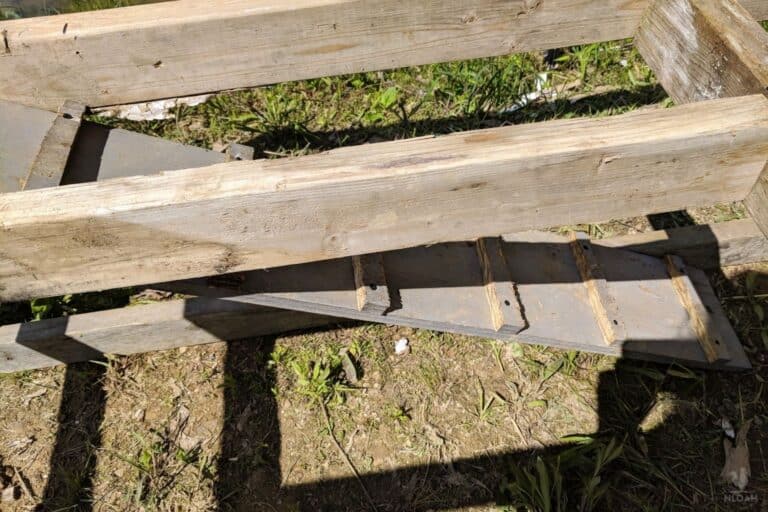 The 11 Best Ladders and Ramps for Your Chicken Coop