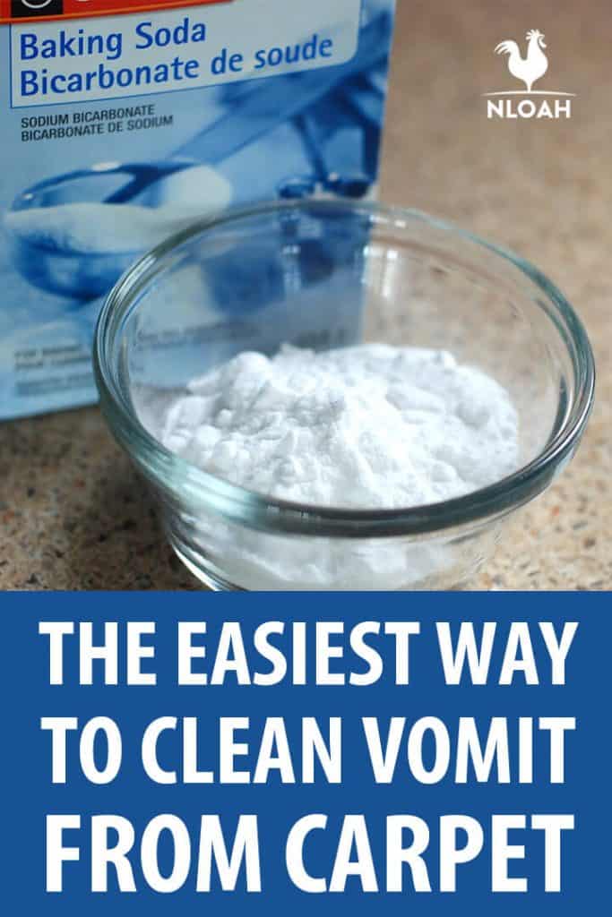 cleaning vomit from carpet pinterest