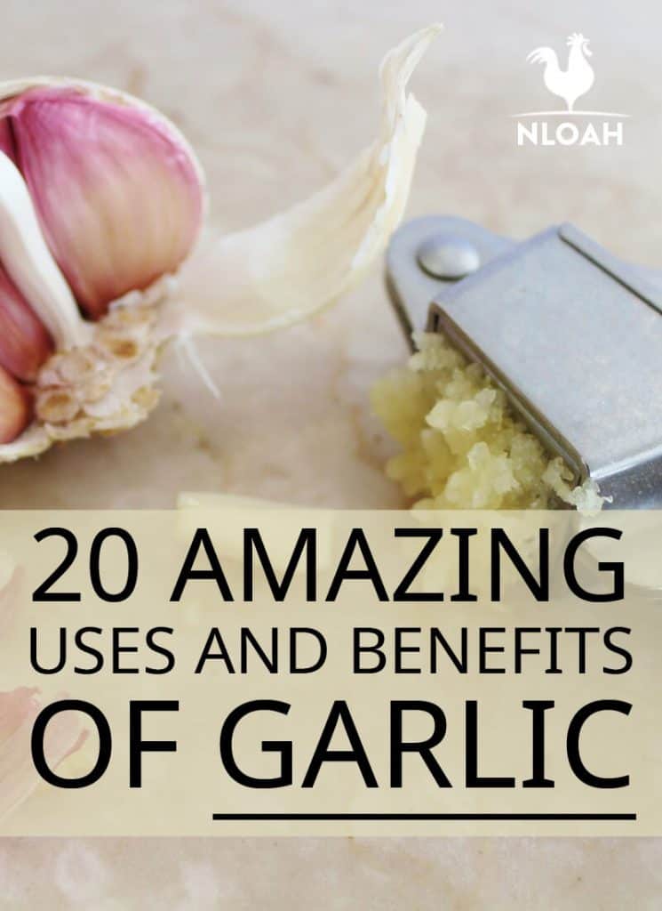 garlic uses benefits pinterest
