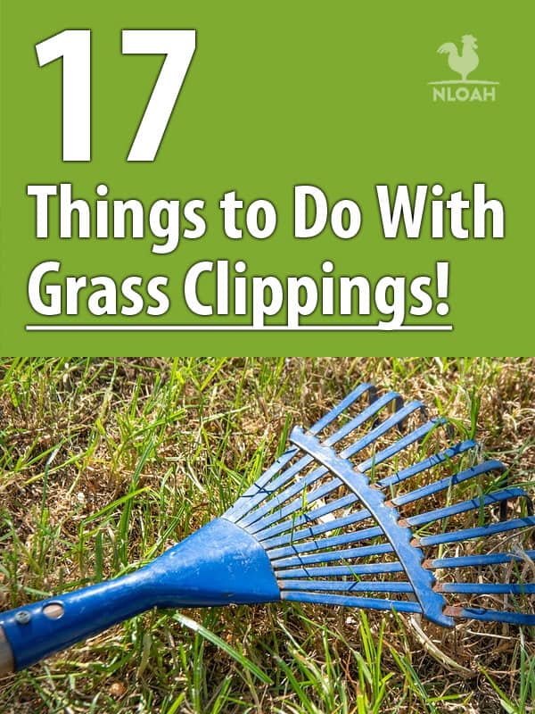 grass clippings pinterest image