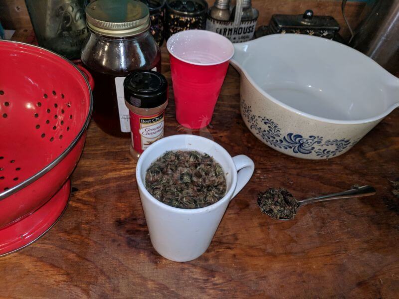 red clover tea