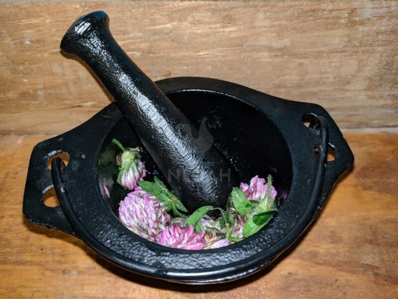 red clover with mortar and pestle