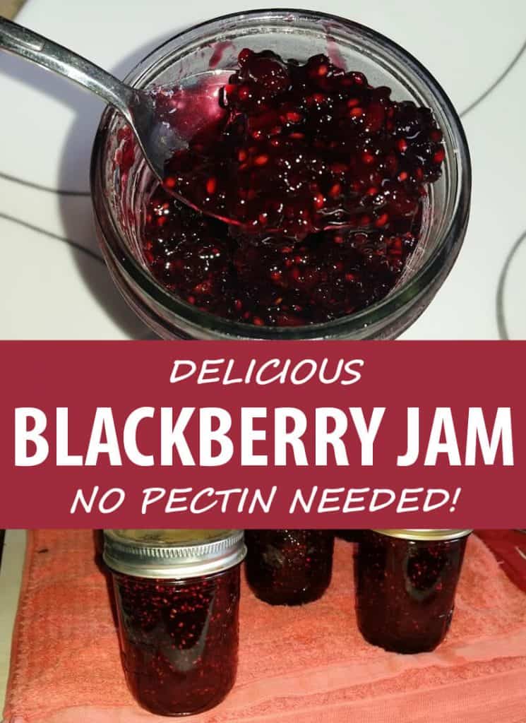 blackberry jam Pinterest image