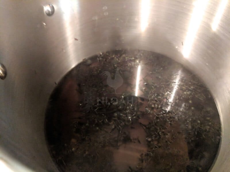 ironweed simmering