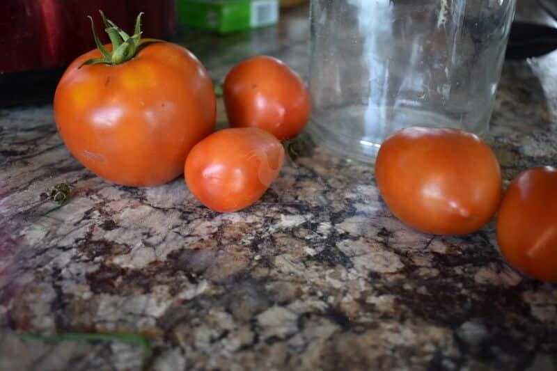 tomato varietes you can can