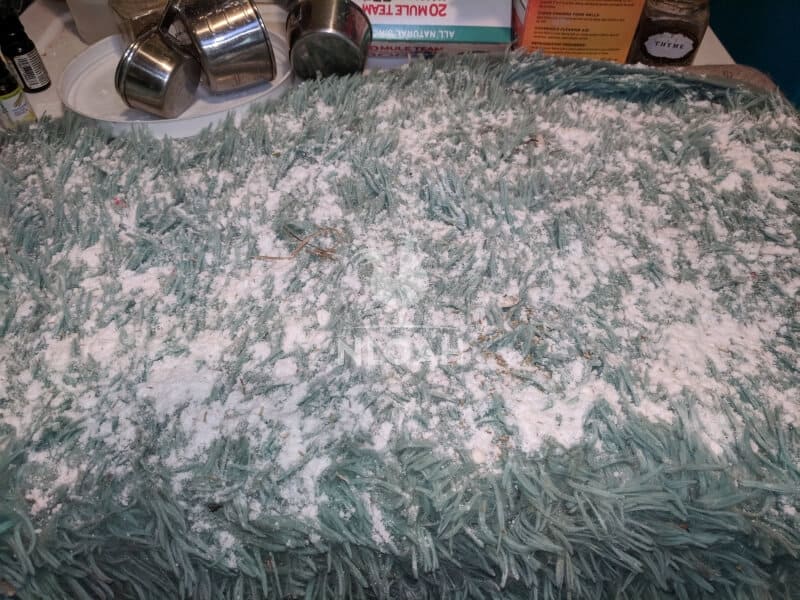 DIY carpet freshener