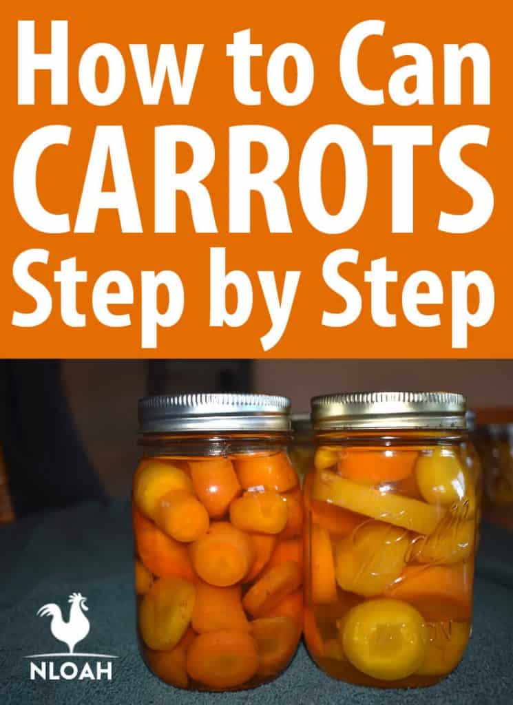 canning carrots Pinterest image