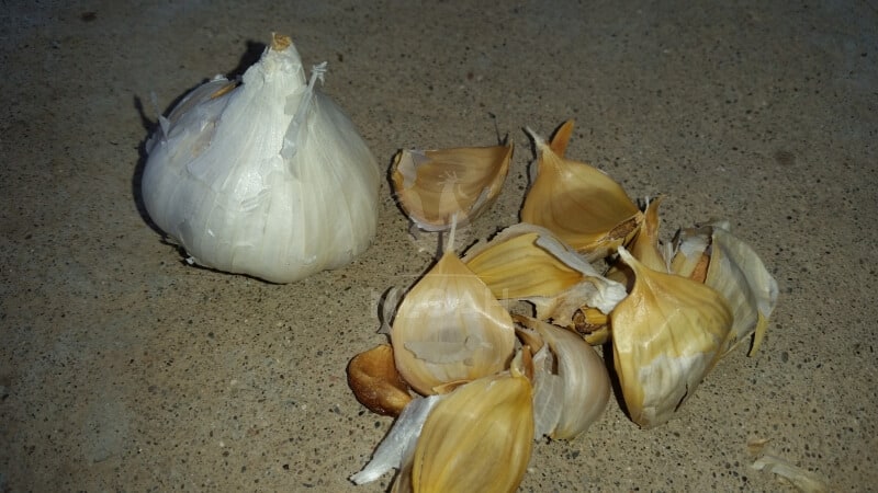garlic bulb and cloves